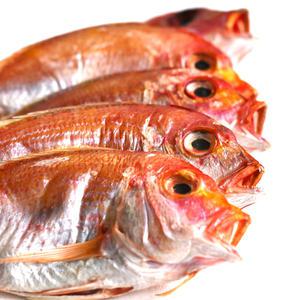 남해안 반건조 꽃돔 5-8미 참돔 도미 제수용 반건조생선