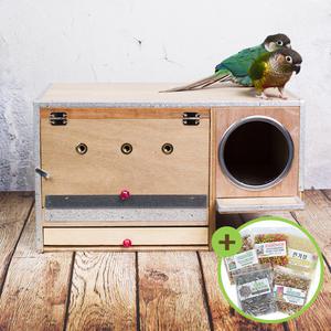 고급형 가로형 중형 알통 앞문형 앵무새 번식용 B004