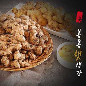 25년수확 완주 봉동 햇 흙 세척 생강 1kg