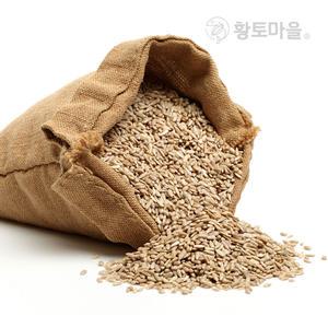 황토마을 해바라기씨 500g