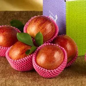 [산들네] 25년햇 껍질째 먹는 경북 세척사과 3kg 16~17과내