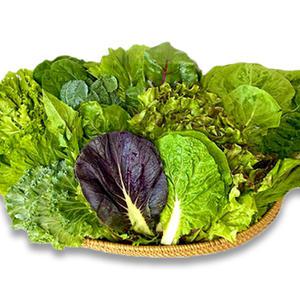 당일수확발송 모듬쌈채소 /쌈야채 1kg