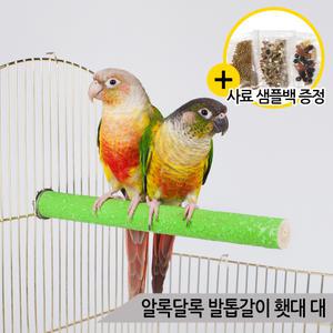 알록달록 두꺼운 발톱갈이 횃대 대 앵무새 중대형횟대