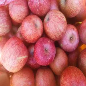 경북 꿀사과 4kg 아삭달콤 못난이가정용(한입사과) 램덤