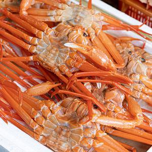 구룡포 국내산 대게 홍게 자숙 10마리 당일조업 선주직접