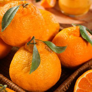 식식한상 제주직송 한라봉 1.5kg 2.5kg