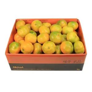 [삼다몰]제주 노지 감귤 선물세트 5kg 10kg