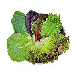 GAP인증 당일수확 모듬쌈 유기농 쌈채소 600g 1kg