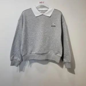 더센트럴  TC01 비숑 요꼬 카라 기모 맨투맨티  23W3458