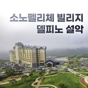 소노펠리체 빌리지 델피노 설악 소노호텔앤리조트