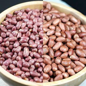 볶음, 레드 고소한 영양간식 우도땅콩맛 400g+400g 안주 간식 견과류