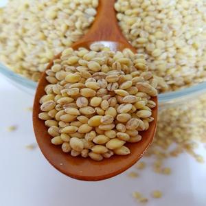 25년산찰보리쌀/보리/찰보리/국산보리쌀10kg