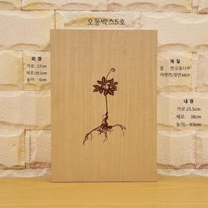 산양삼 이끼 포장 오동 나무 상자 (중형)