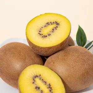 [더조은푸드] 전남보성 골드키위 (소) 2kg  27-33과 / 참다래