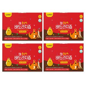 [루솔] 홍삼 배도라지즙 80포 선물박스 (1박스 20포 X 4개)