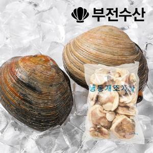 부전수산 냉동 손질 신선한 개조개살 (대합살) 800g 개조개 대합조개 백합 육수재료 해장국재료 개조개미역국 조개탕 조개구이