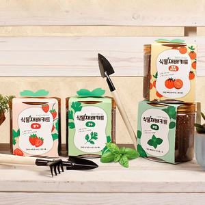 식물재배키트 어린이 자연관찰 방울토마토 딸기 바질 식물키우기세트