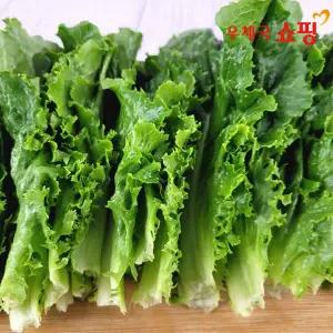 [우체국쇼핑] 매일 싱싱한 엄마네농장 상추 청상추 1kg/2kg/4kg