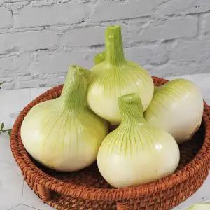 25년 무안에서 수확한 양파 중&소 혼합 5kg