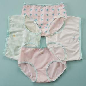 [빌도르] 삼각 칵투스 4매 여아 주니어 초등학생 중학생 여학생 팬티 세트