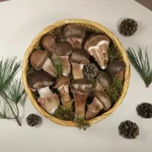 [참송이농장] 국내산 최상급 참송이버섯 상품 500g/1kg 선물용