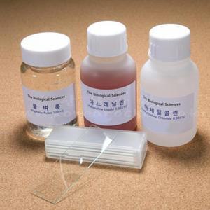 관찰세트 실험세트 물벼룩 물벼룩심장박동 실험 4종세트 방과후 사고력 DIY