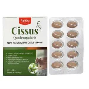 파이오라 시서스 알약 90정