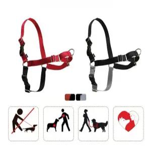 강아지 가슴줄 하네스 목줄 앞고리 펫세이프 애견 산책
