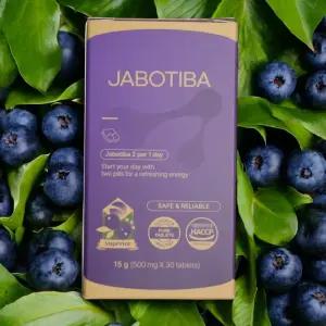 브라질 자보티바