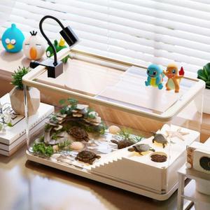 블랙아이크랩키우기 도둑게 소라게 사육장 용품 집