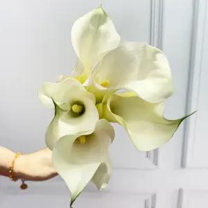 (플라워마켓) 카라 벤츄라 5대 한단 꽃배달 싼곳 도매 생화꽃 경매 택배