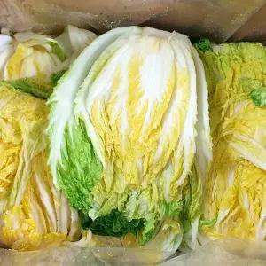[인정식탁]강원도 고랭지 절임배추 20kg(4-9포기내외)