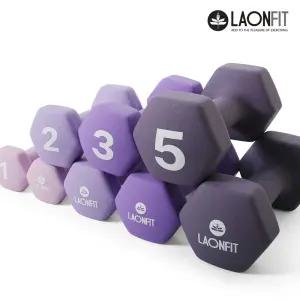 라온핏 아령 1kg 2kg 세트 육각 덤벨 홈트레이닝 헬스 근력운동