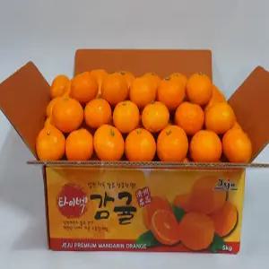 고당도 보장  제주 직배  조생 타이벡감귤 / 빛을 두 번 받은 달콤한 감귤 5kg
