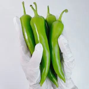 싱싱햇 정읍 당조고추 당조 아삭이 고추 2kg