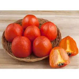 25년 햇 영암 대봉감 5kg