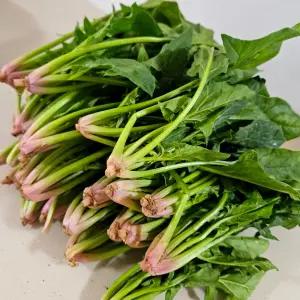 [아침이슬농원] 남해 해풍 시금치 1kg