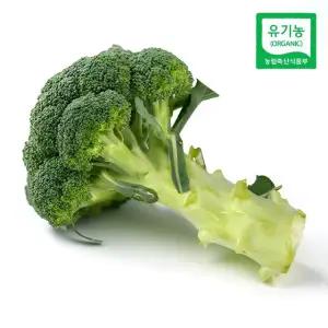 제주 모슬포 유기농 브로콜리 1kg