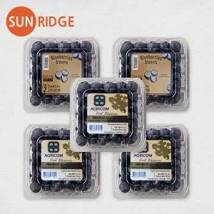 항/공/직/송 고당도 칠레 생블루베리 125g 5팩 10팩