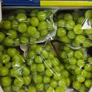 고당도 달콤한 샤인머스켓 4kg(5수)