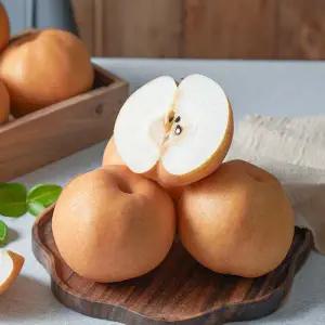 나주 가정용 알뜰 신고배 7.5kg(12과내외)/특대과