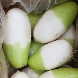 올바이 무우 국내산 세척무 10kg내외