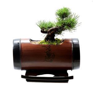 승진 취임 인사이동용 꽃배달 분재 동양난 서양란 개업선물 화분 생일선물