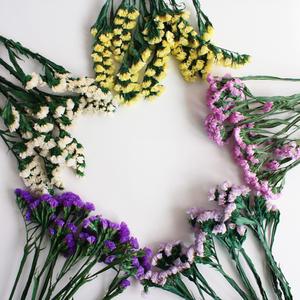 프리저브드 스타티스 소량판매 / DIY 캔들, 디퓨저, 드라이플라워 인테리어 재료