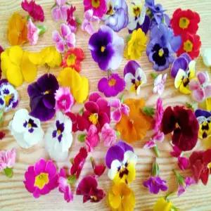 식용꽃 30송이 혼합