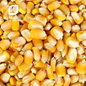 자연닮음 국산 노란 말린 옥수수 알 1kg 옥수수차