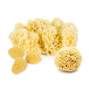 [세트]그리스 해면스펀지 천연해면/샤워볼/클렌징/천연각질제거