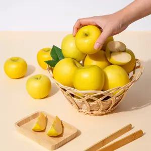 황금사과 시나노골드 주스용 랜덤과 10kg