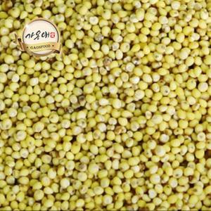 [가온애] 찰기장 500g / 잡곡 혼합곡 기장 기장쌀 국산기장 국산잡곡 잡곡쌀 슈퍼푸드 잡곡류 30종 모음