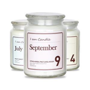 르미에 아이엠캔들 600g 12가지 향기 워머 향초 양초 아로마